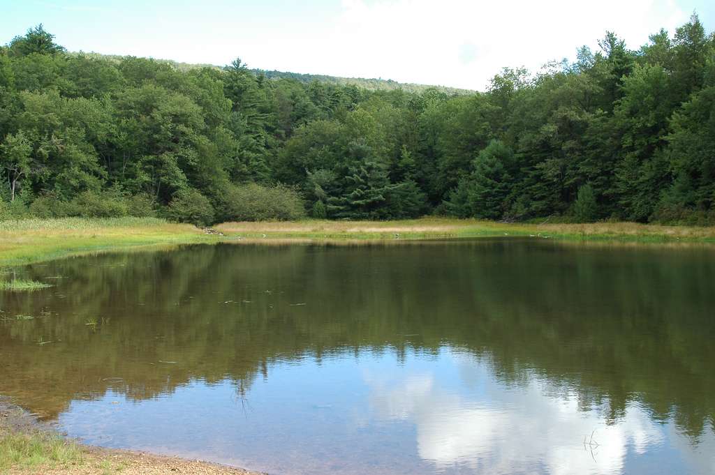 Penn-Roosevelt Park Campground