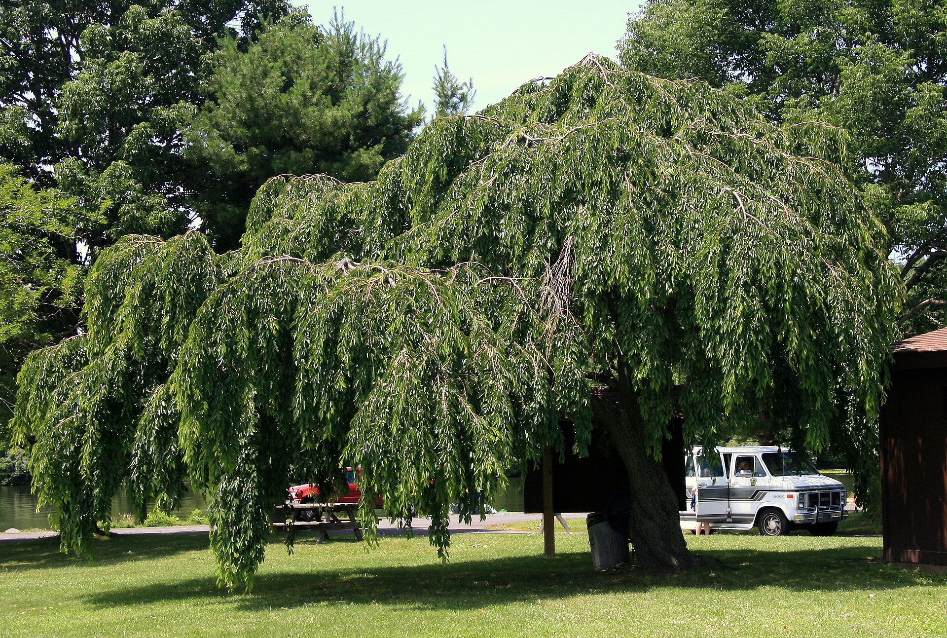 Nockamixon State Park