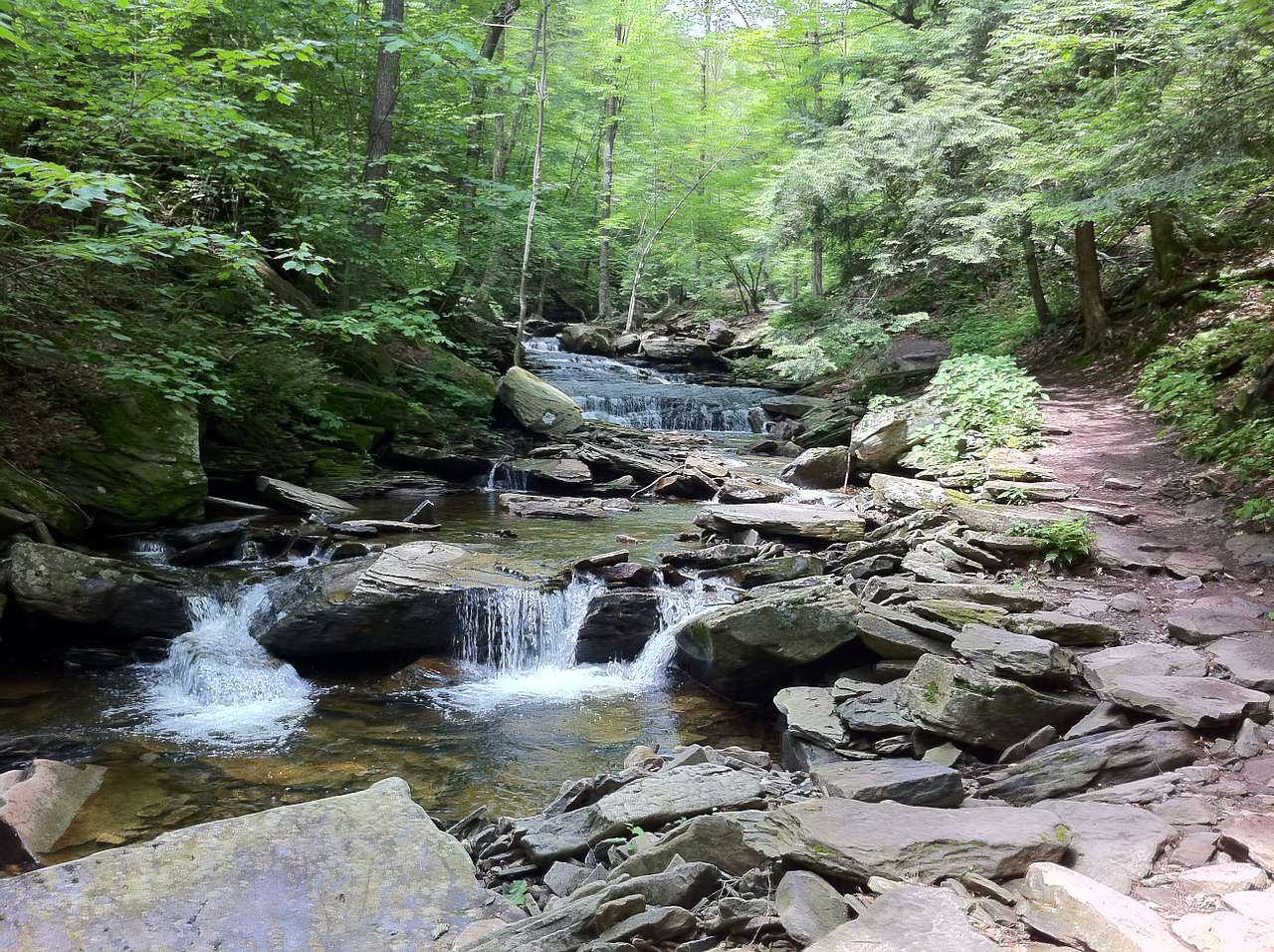 Ricketts Glen Park Campground