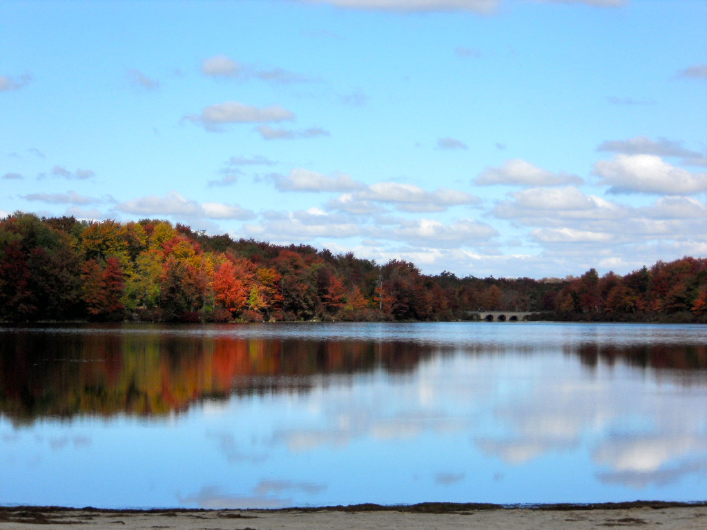 Tobyhanna State Park