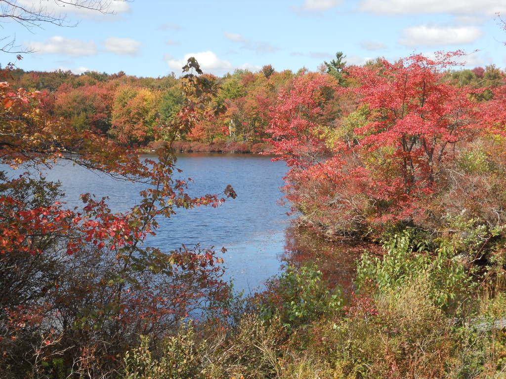 Tobyhanna State Park