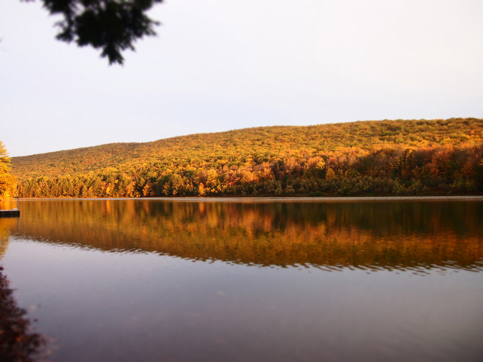 Tuscarora State Park
