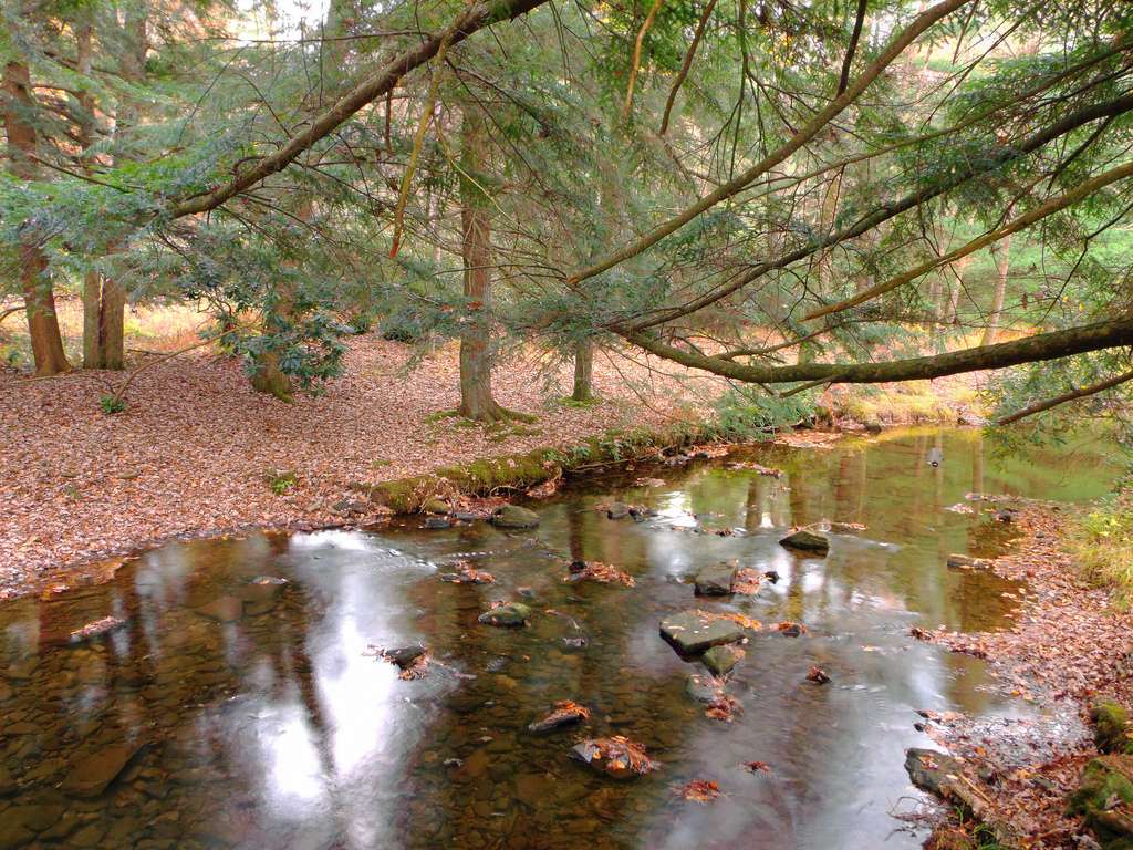 Clear Creek Park Campground