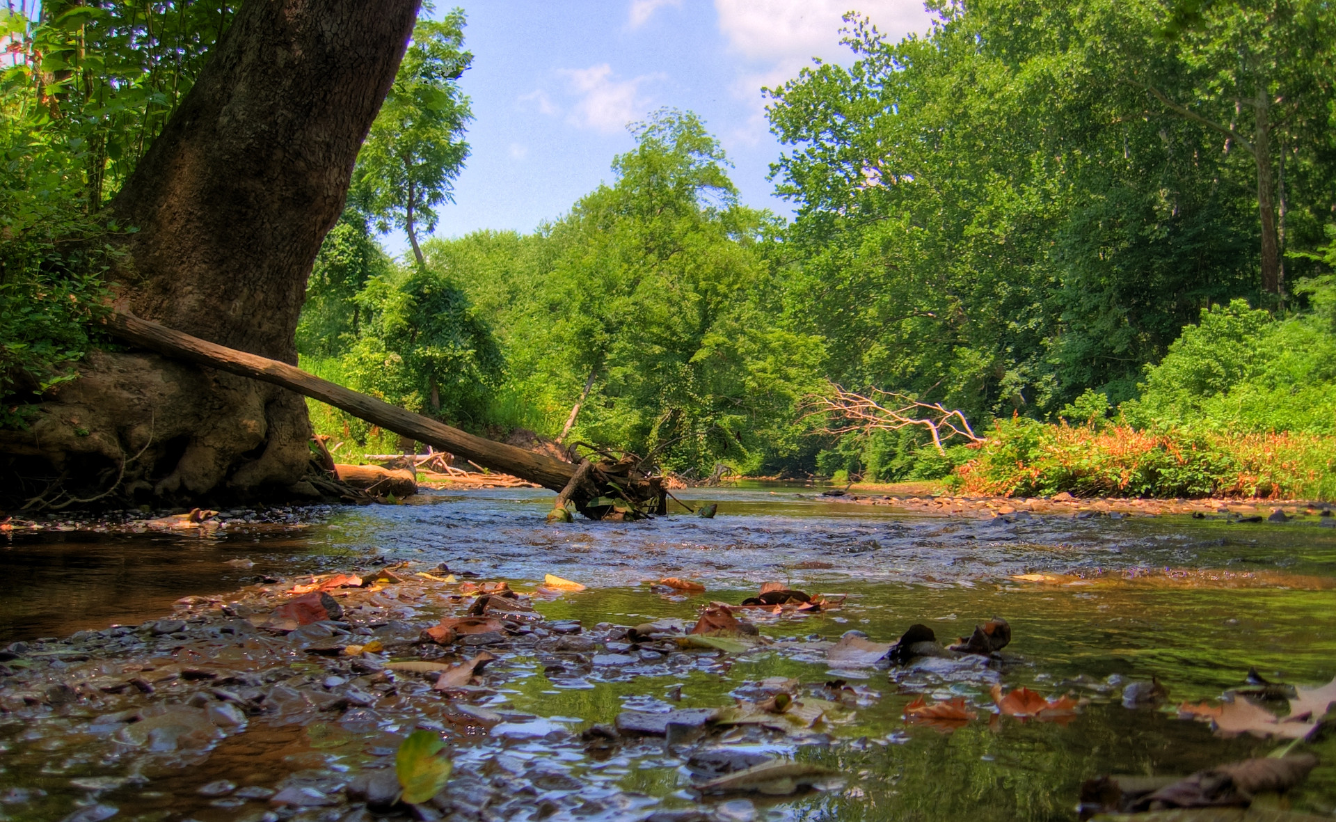 Raccoon Creek State Park