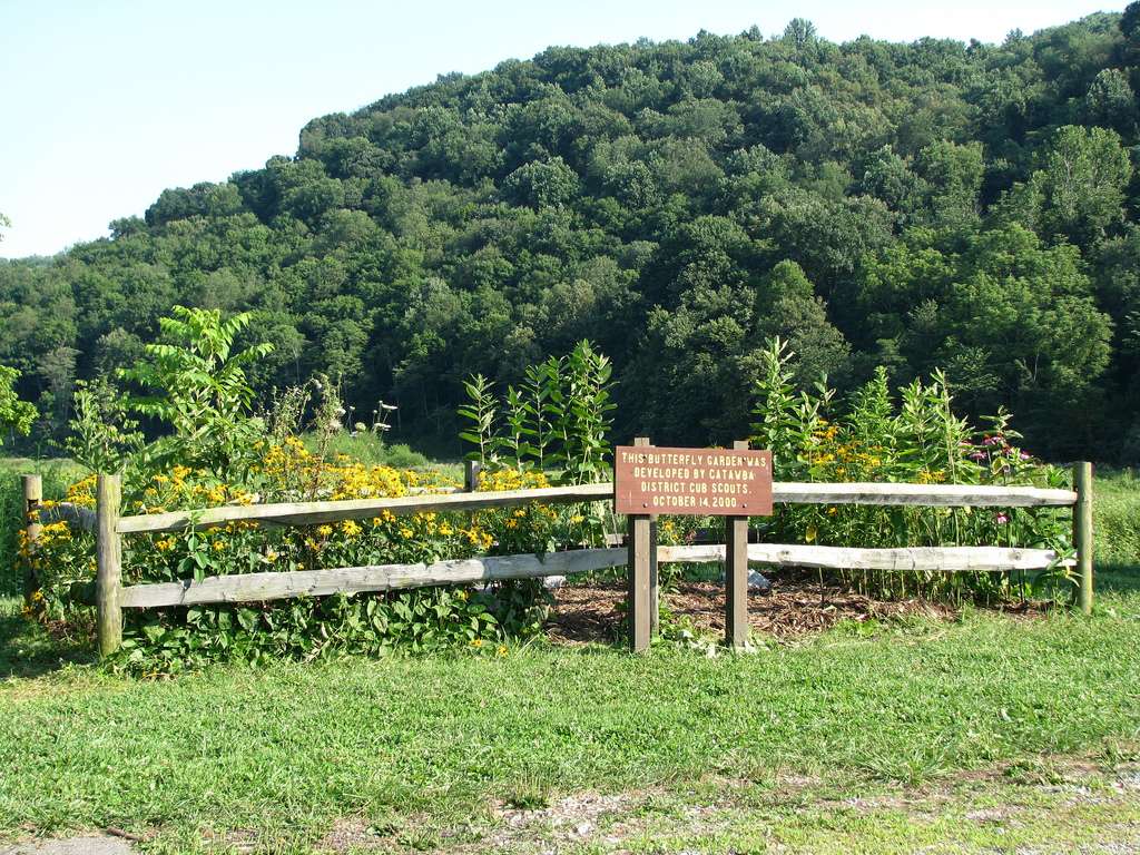 Polly Hill Campground