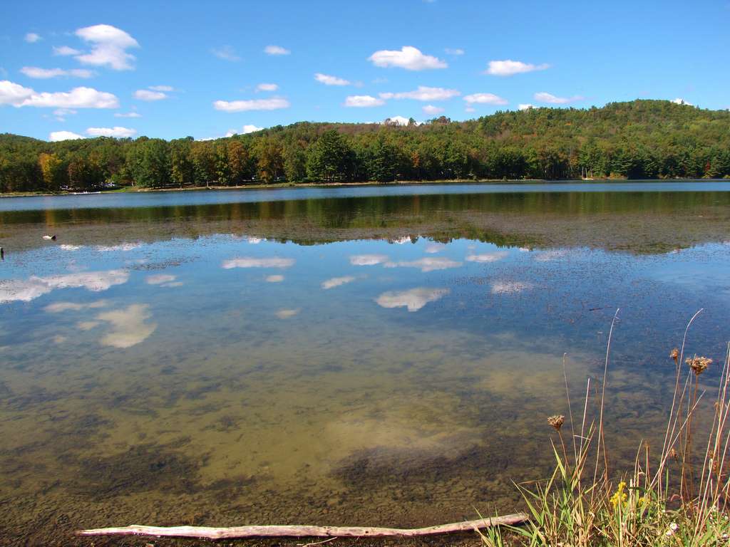 Cowanesque Lake