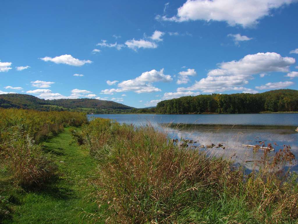 Cowanesque Lake