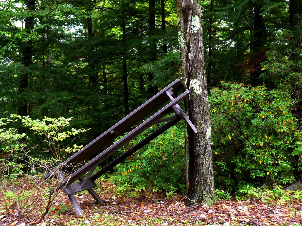 Erving State Forest