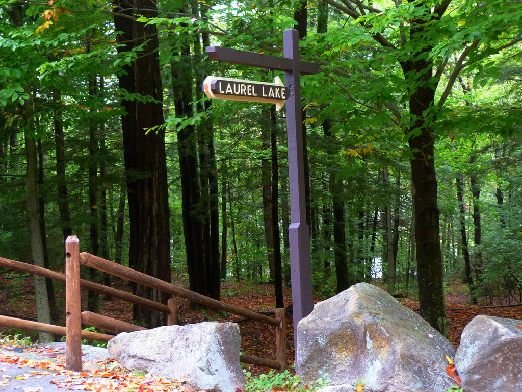 Erving State Forest