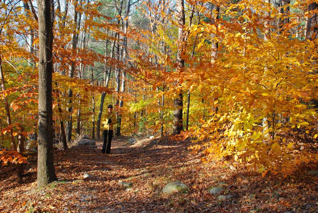 Wompatuck State Park