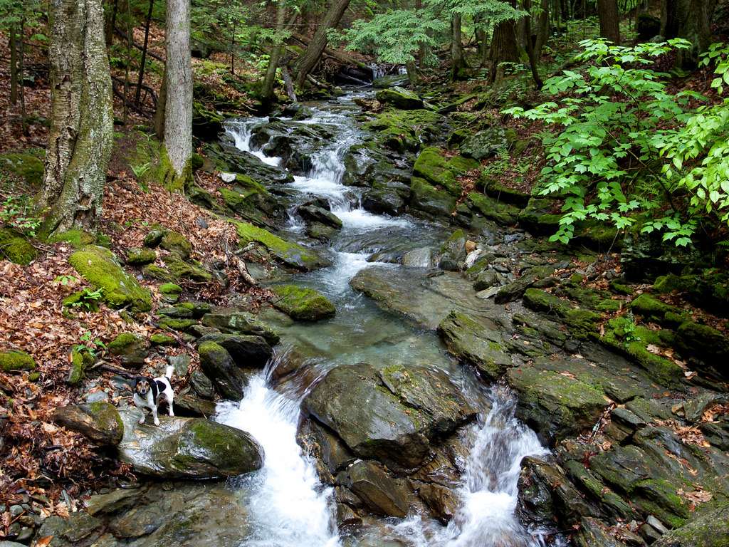Mount Greylock Campground