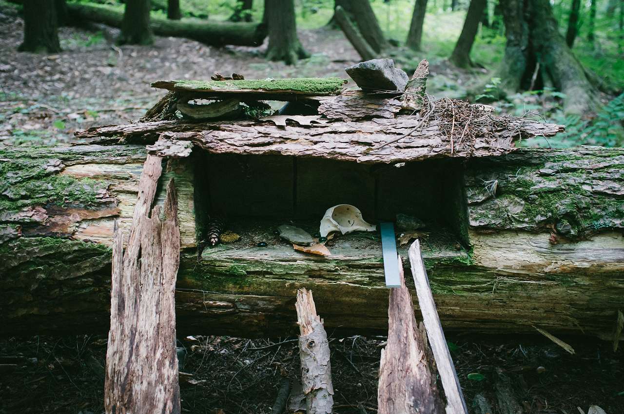 Half Moon Pond Campground