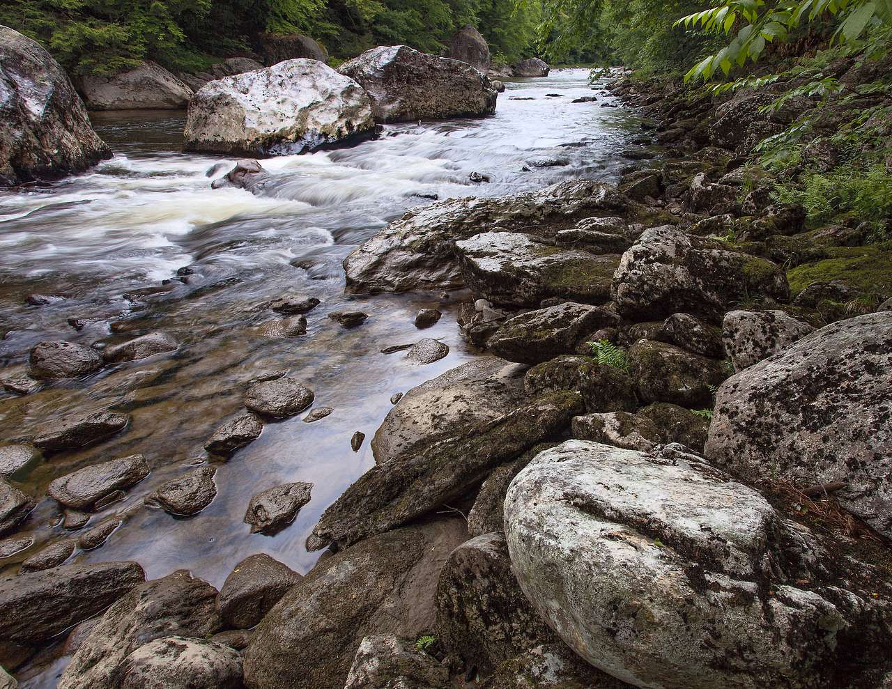 Jamaica Campground