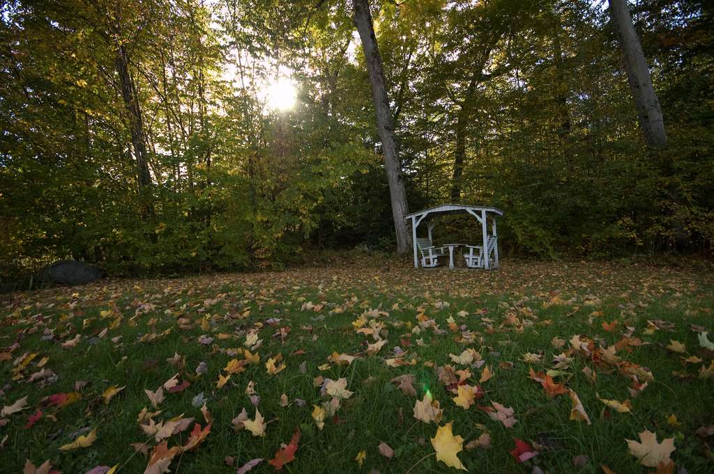 Lake Carmi State Park