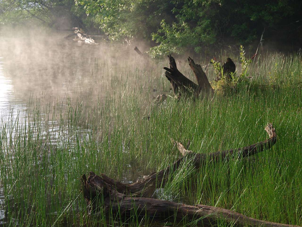 Woodford State Park