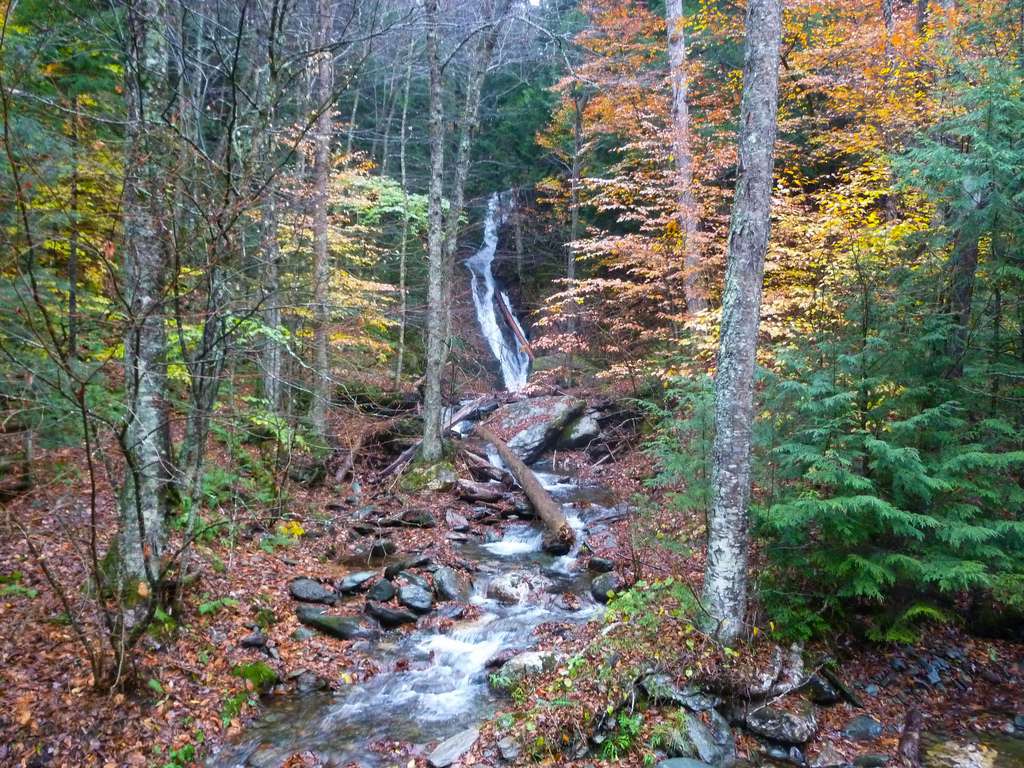 Little Rock Pond Trail