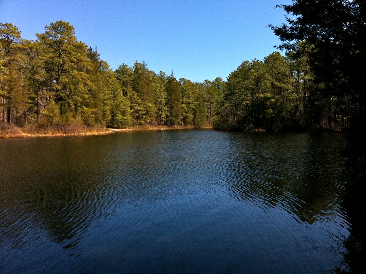 Bass River Cabins