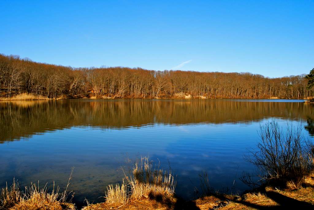 Cheesequake Campground