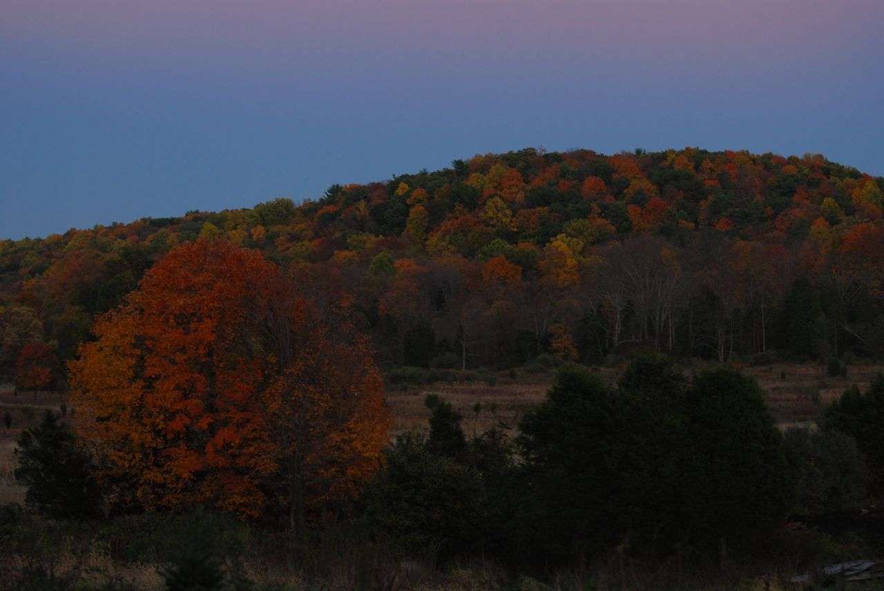 Jenny Jump Campground