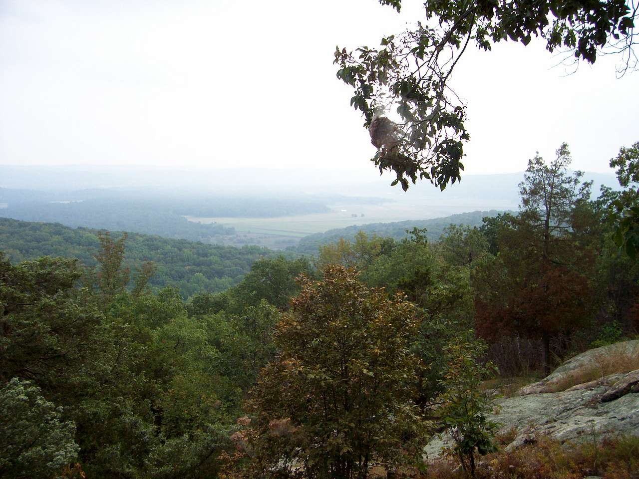 Jenny Jump Campground