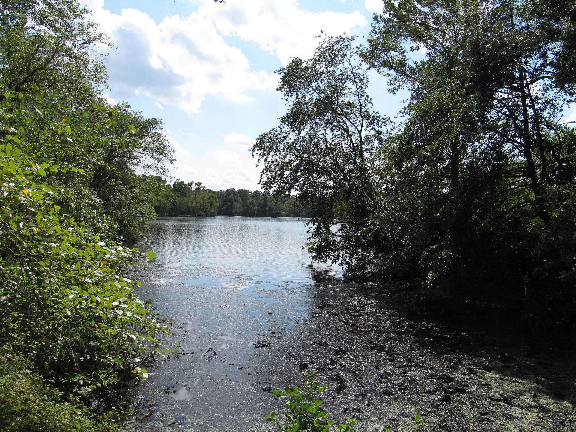 Jaggers Point Campground