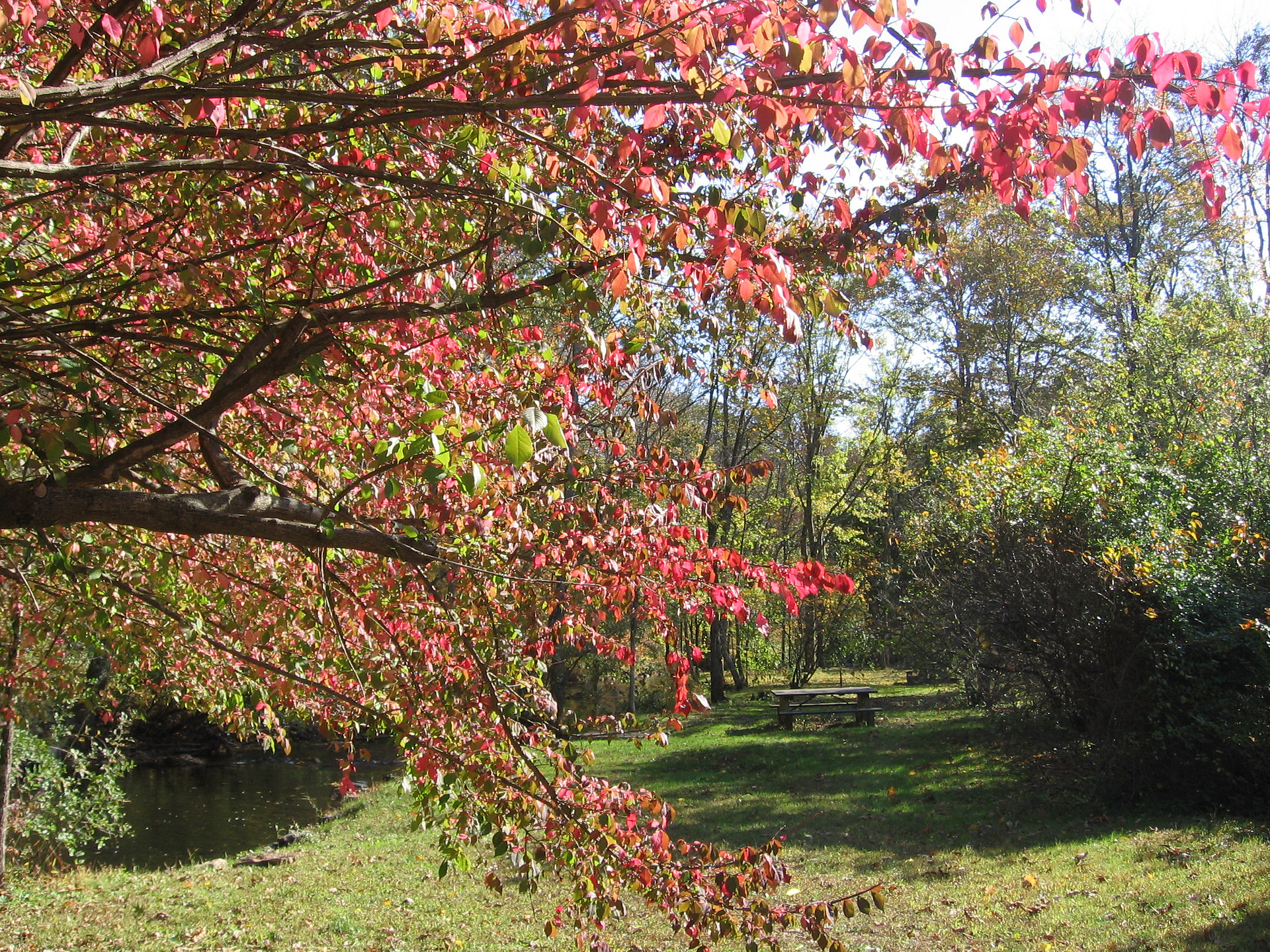 Stephens State Park