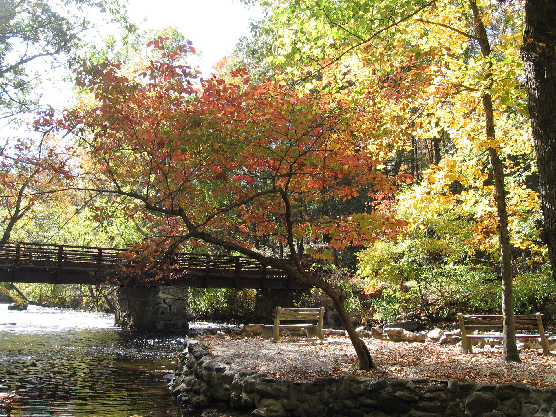 Stephens State Park