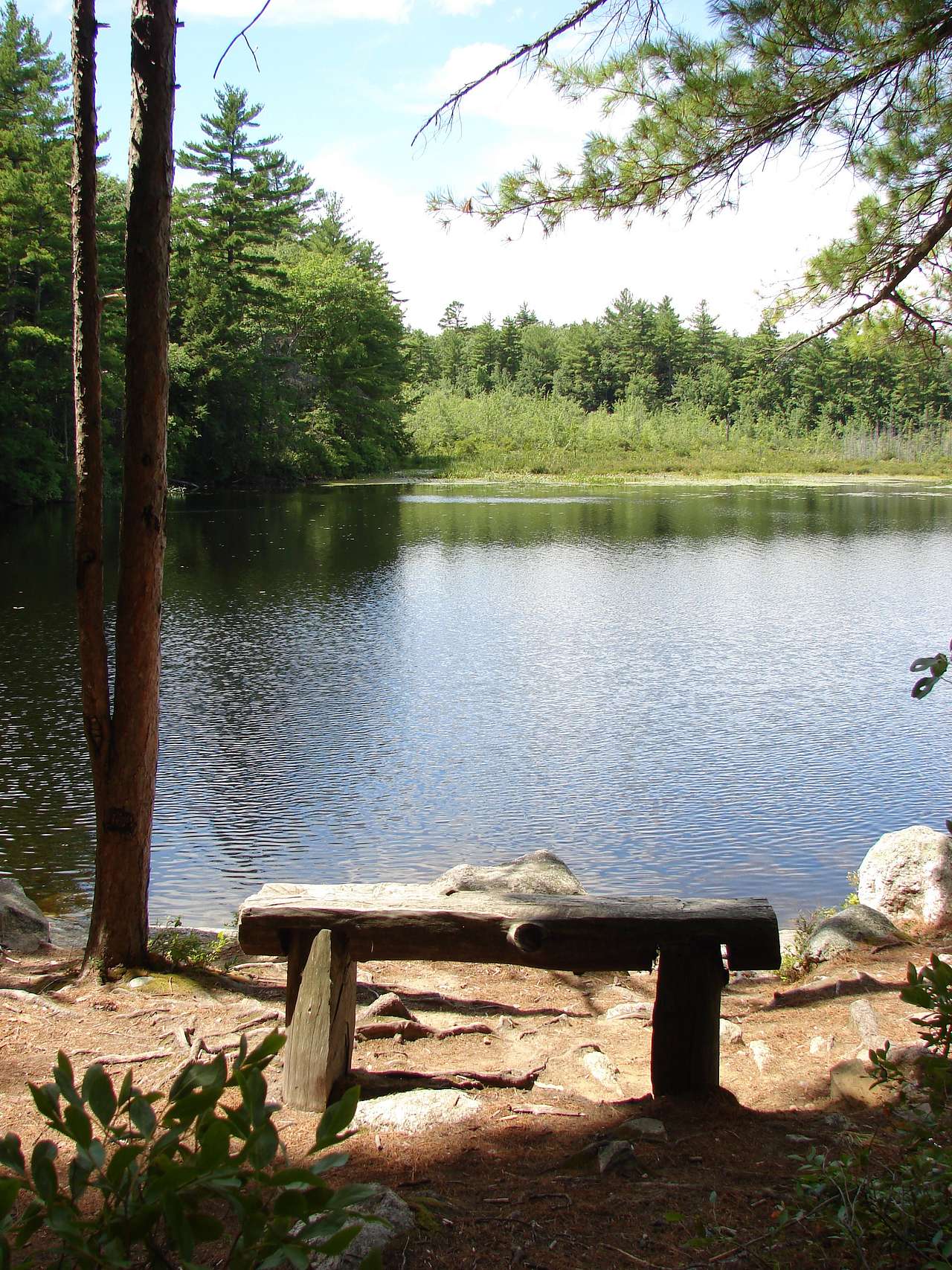 Bear Brook State Park