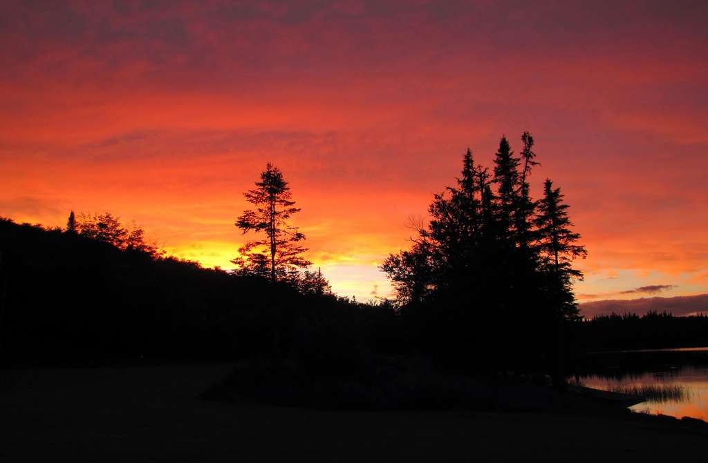 Coleman Campground