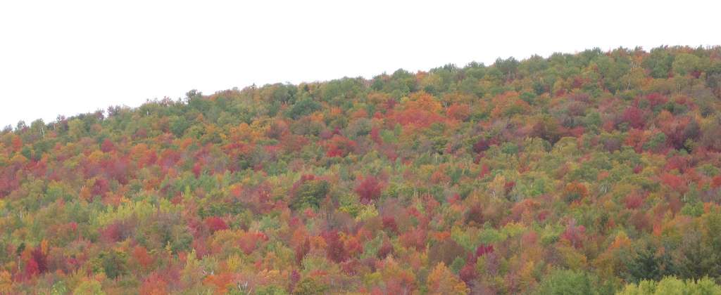 Lafayette Place Campground