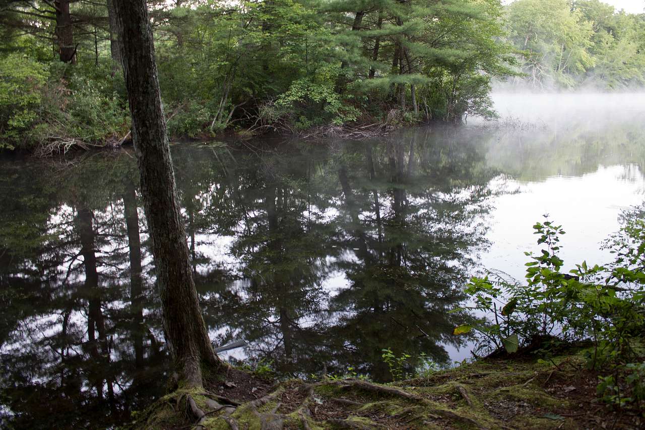 Hopeville Pond State Park