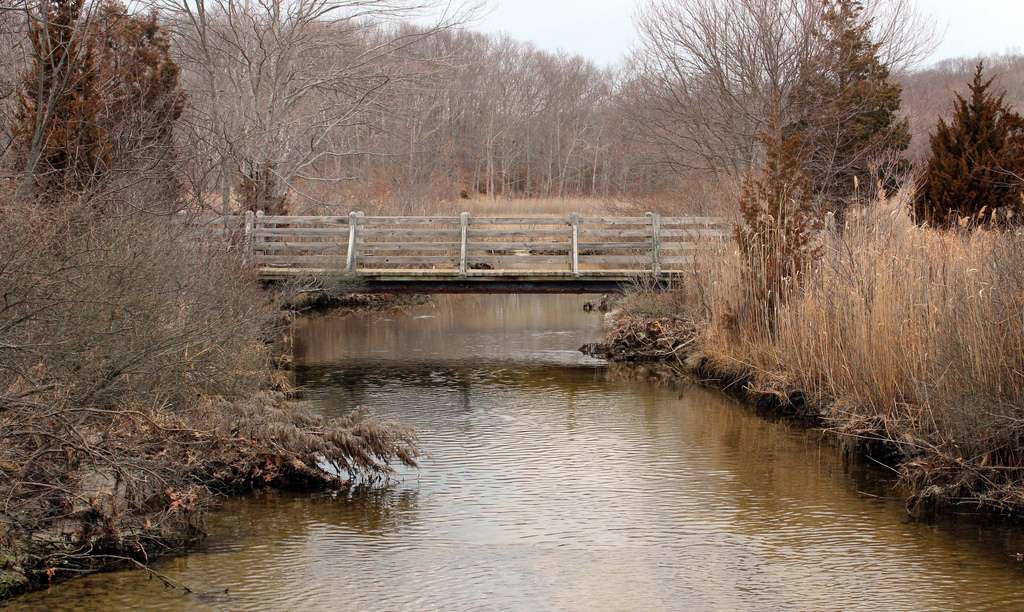 Rocky Neck State Park