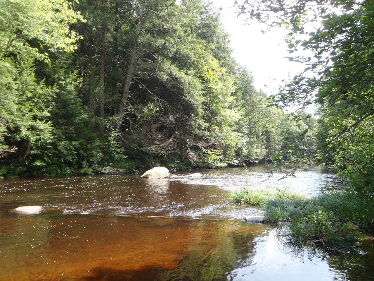 General Lyons Campsite