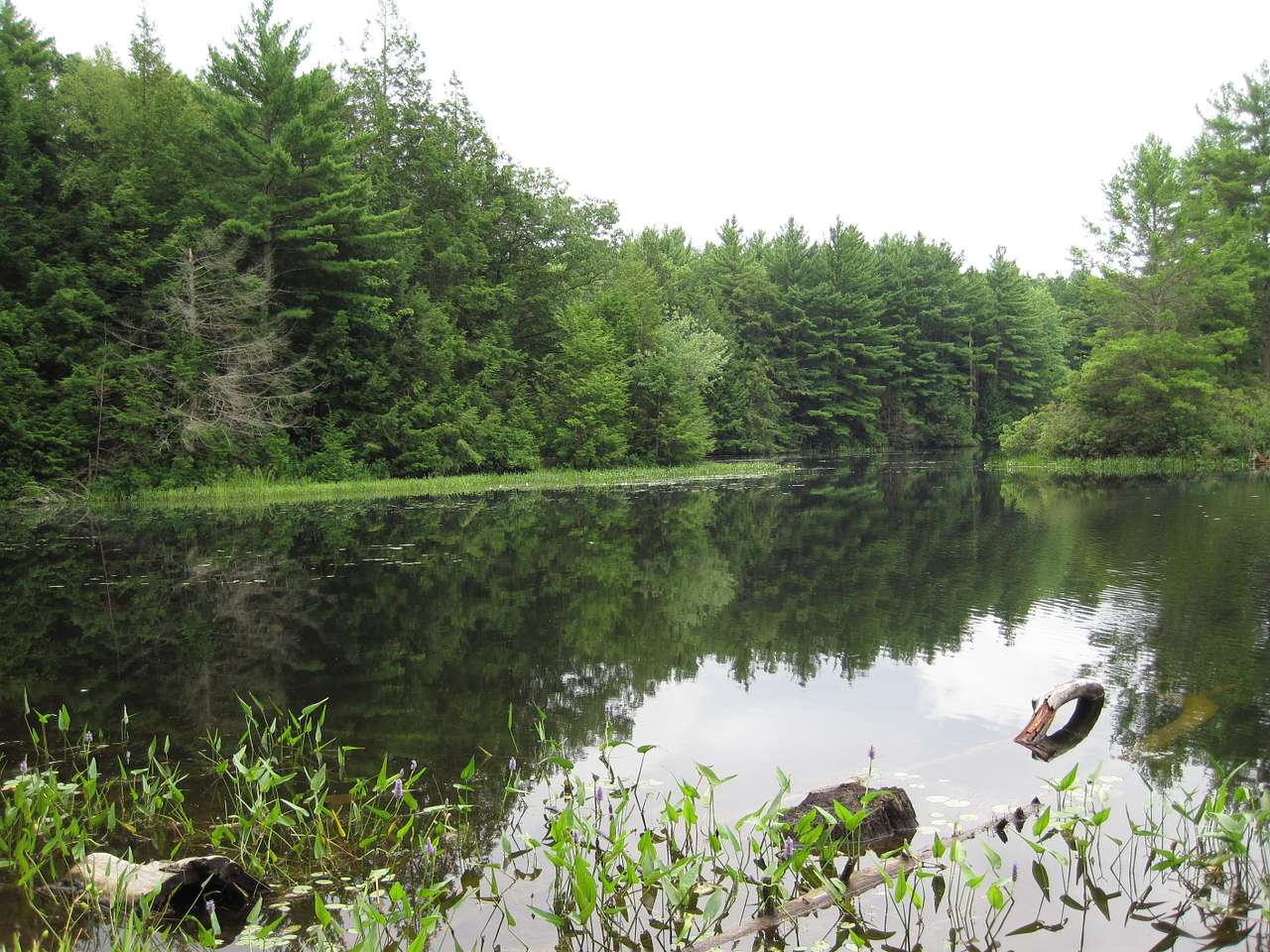 Nipmuck State Forest