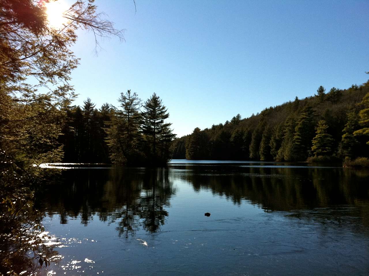 Nipmuck State Forest
