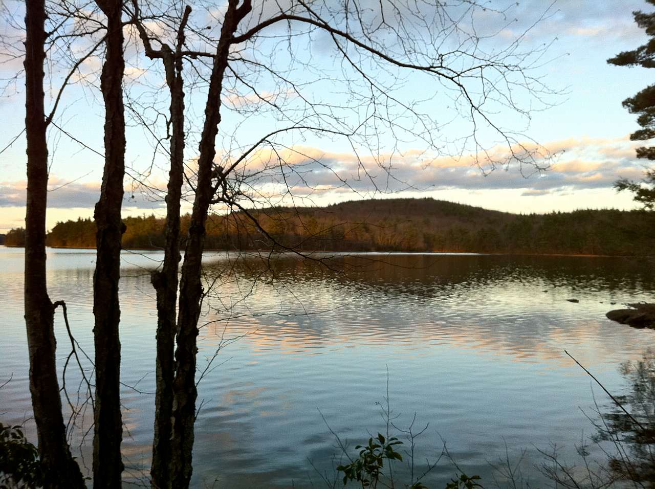 Nipmuck State Forest