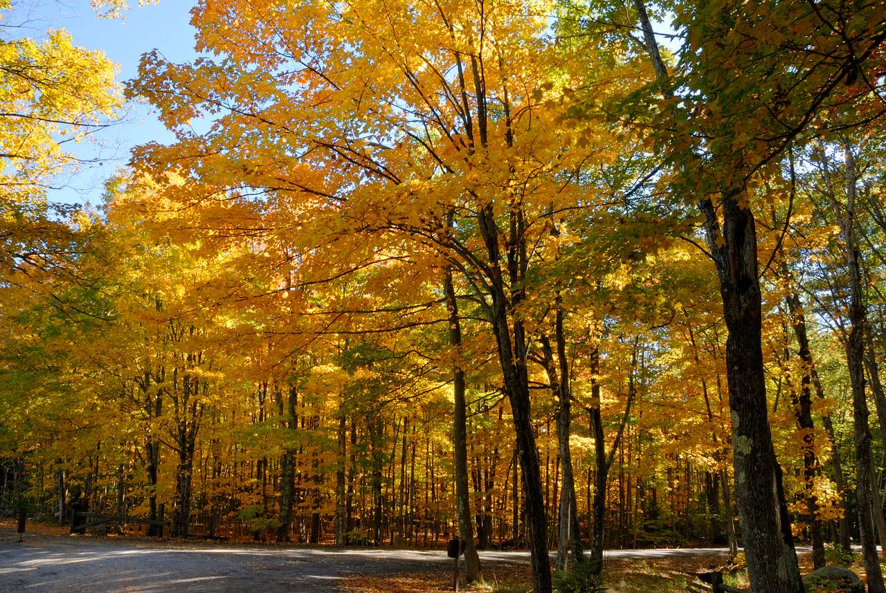 Bradbury Mountain Campground