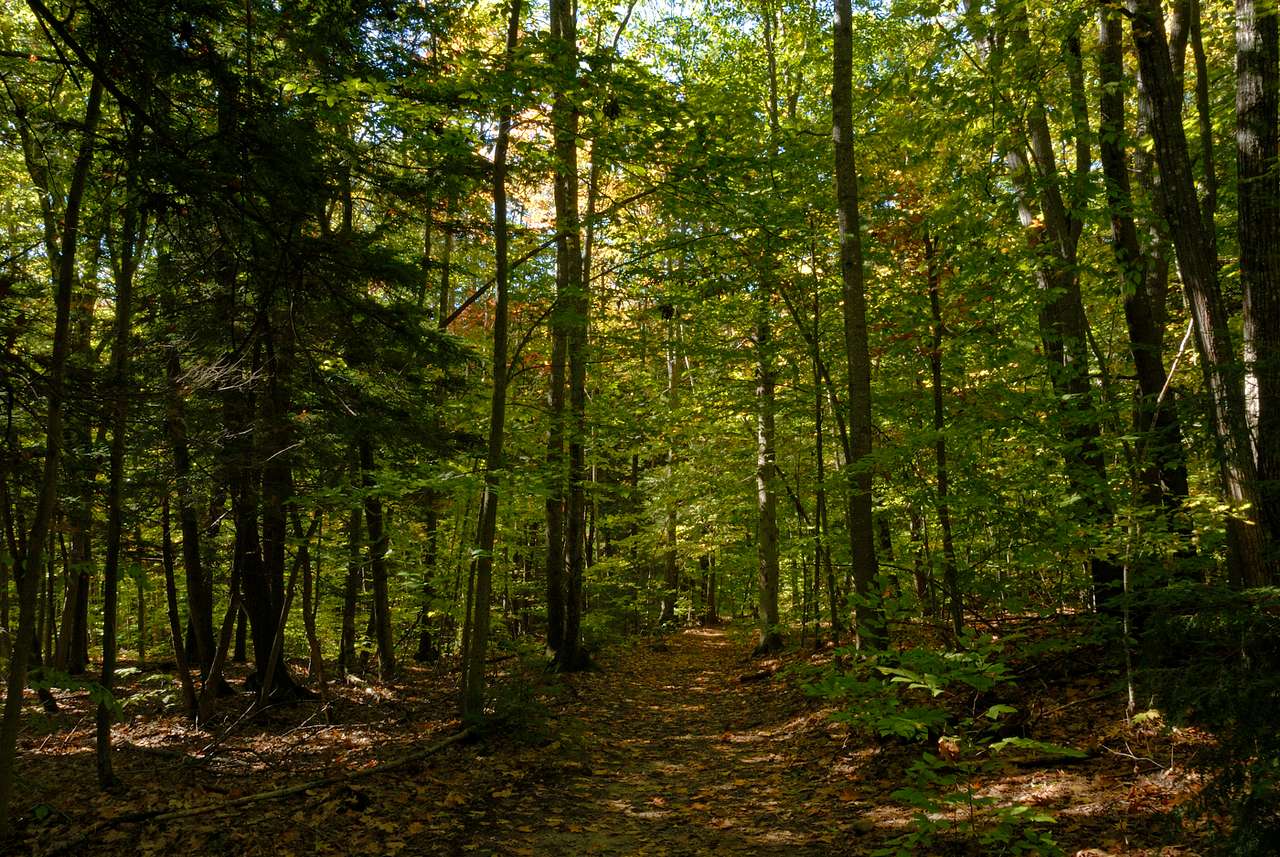Bradbury Mountain Campground