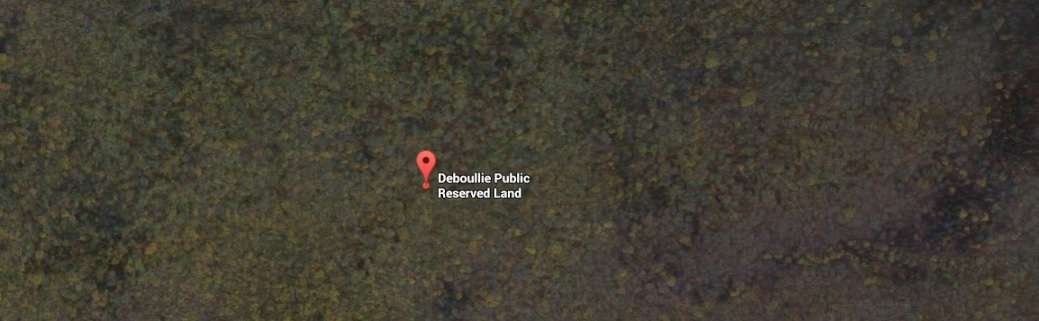 Deboullie Campground