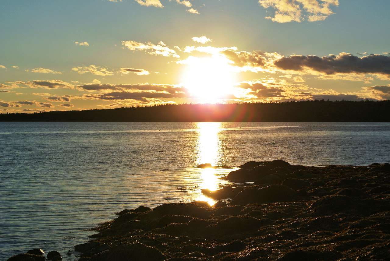Lamoine Campground