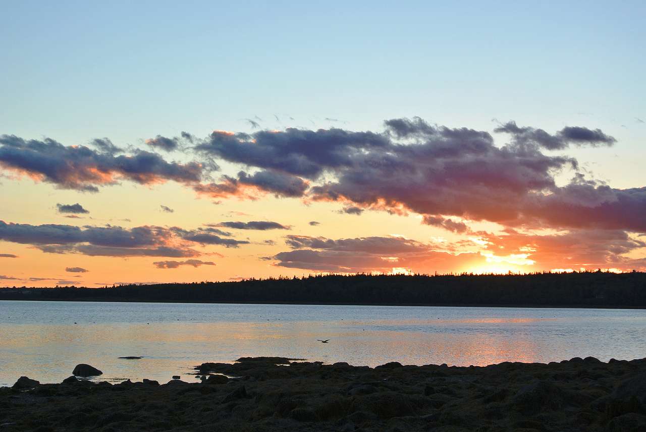 Lamoine Campground