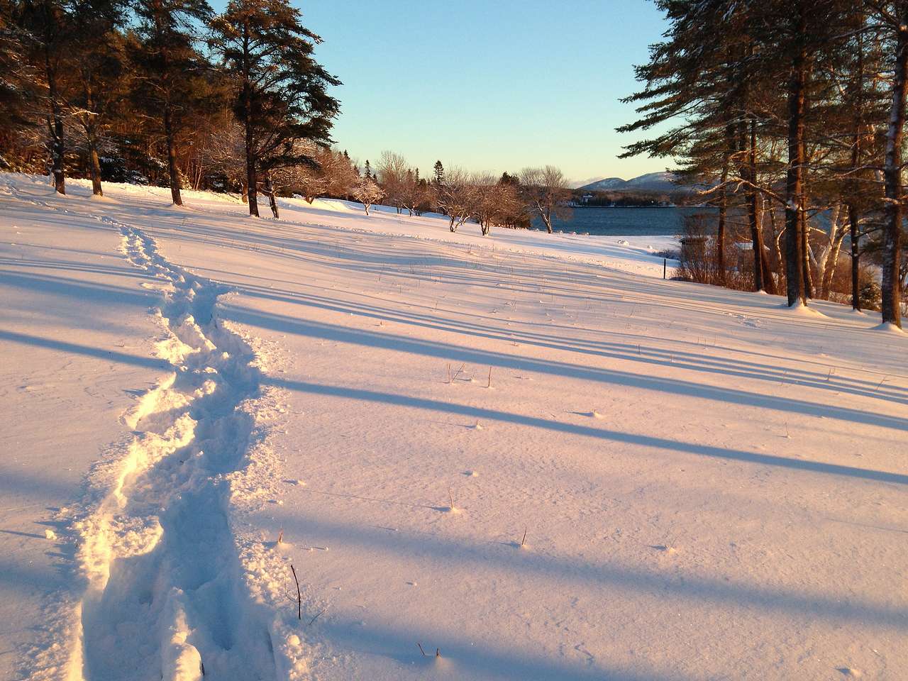 Lamoine Campground