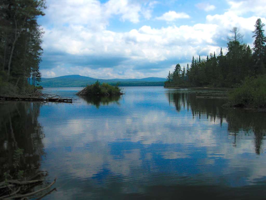 Rangeley Lake Campground