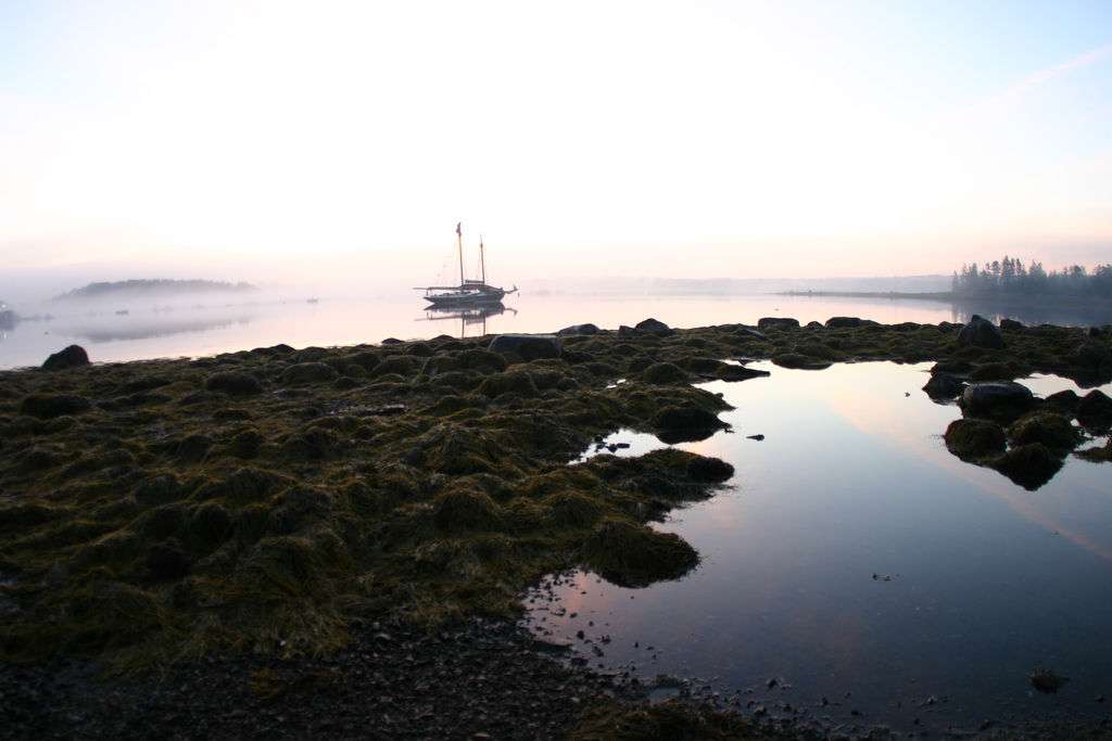 Warren Island Campground