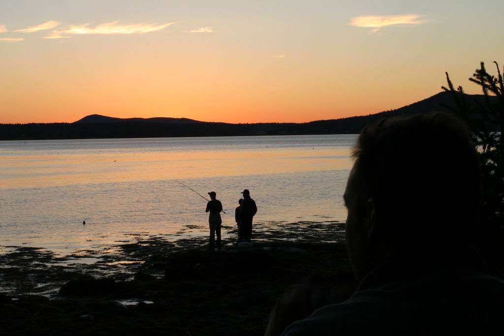 Warren Island Campground