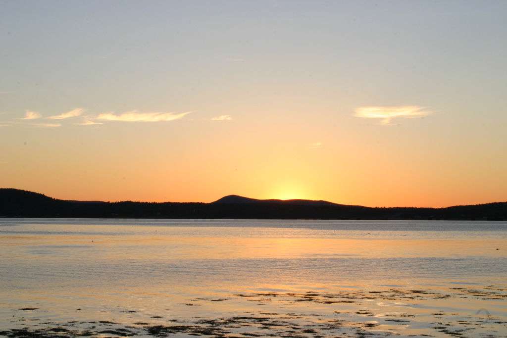 Warren Island Campground