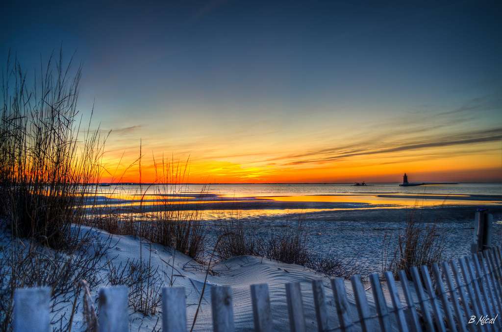 Cape Henlopen State Park