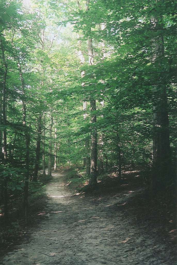 Killens Pond Campground