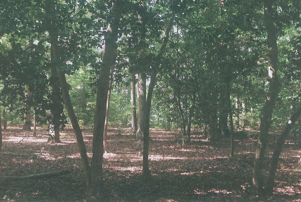 Killens Pond Campground