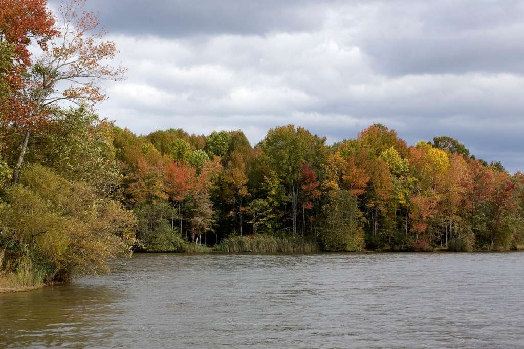 Lums Pond State Park